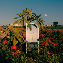  <span style="font-size:30px;"><span style="color:#ffffff;"><strong>品牌创意</strong></span></span> 