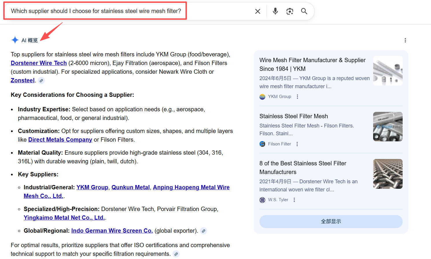 Google AI搜索结果